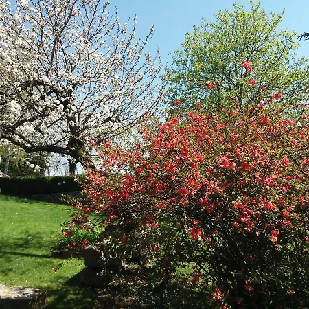 Maison D'hote La Grange Aux Ayres Maison d'hôtes Olloix